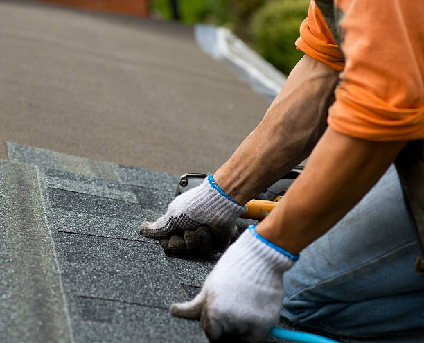 Best Gutter Installation and Roofing  in Desoto, TX